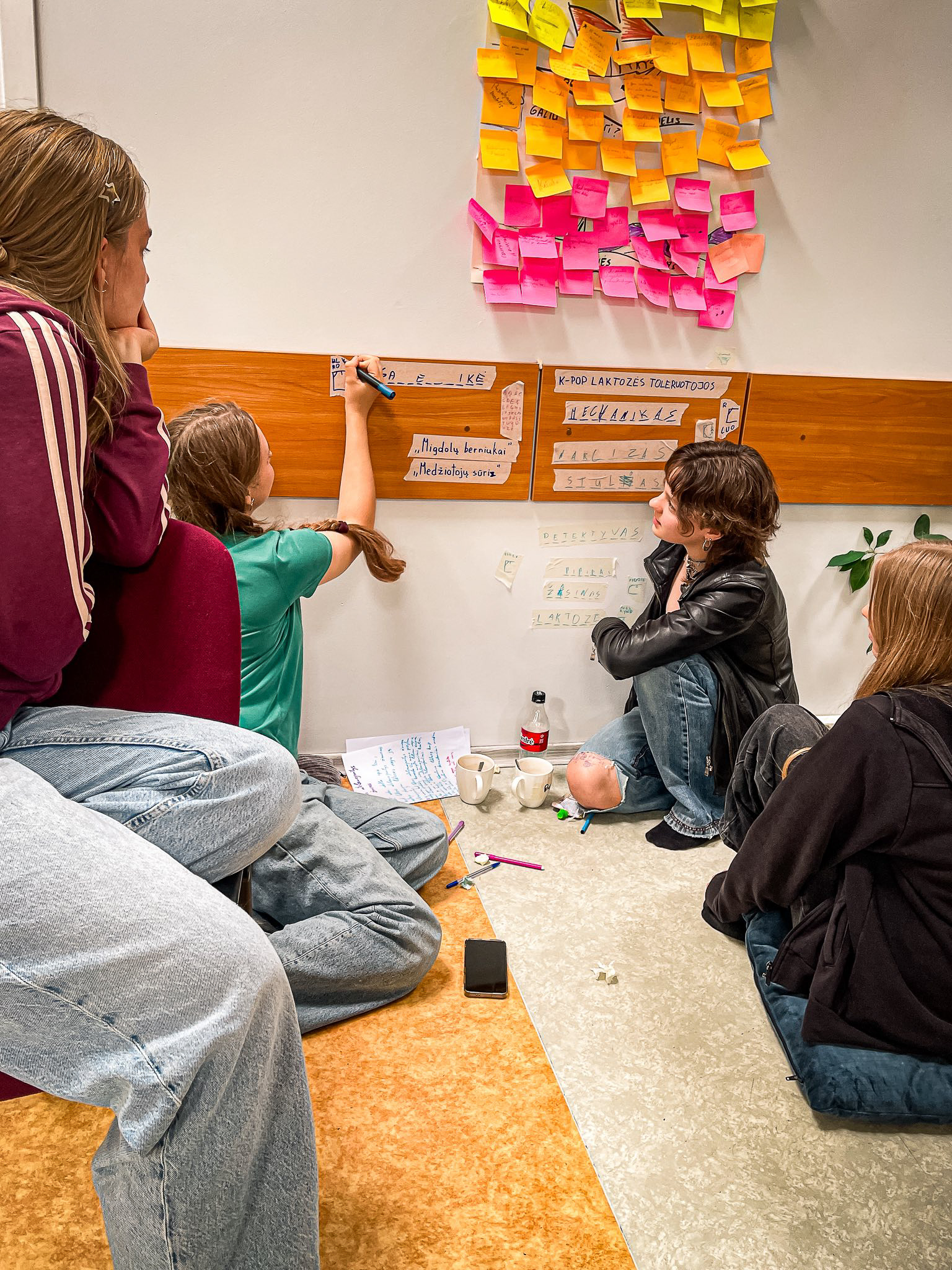 Stovykla jaunimui „Kultūrų kompasas”