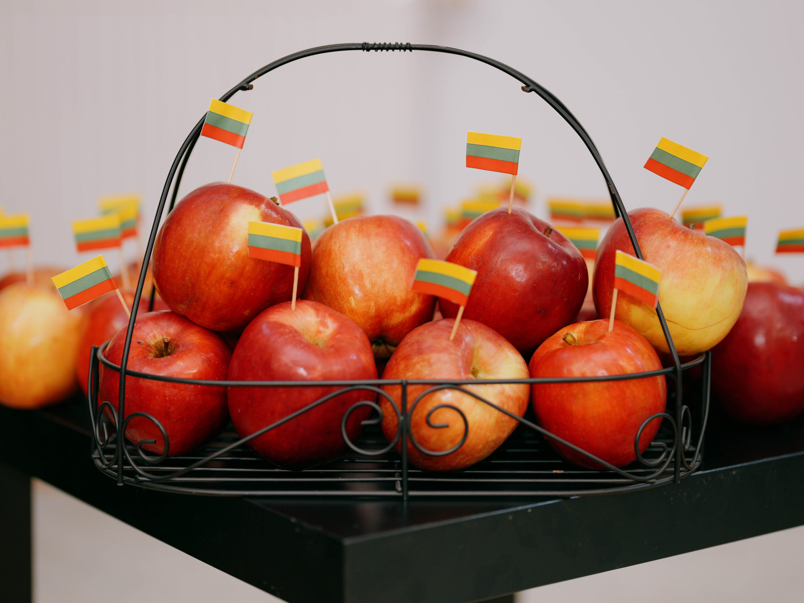 Lietuvių kalbos ir kultūros viktorina besimokantiems lietuvių kalbos