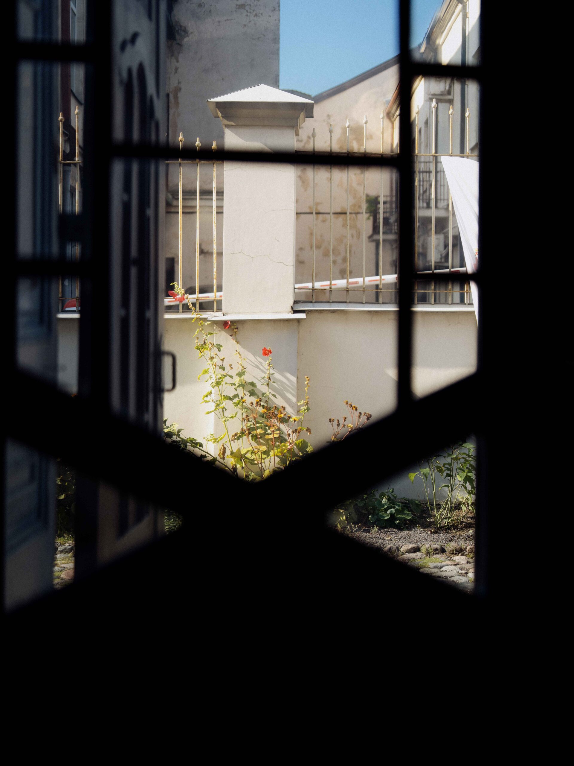 Kultūrų sodas 2025 Ekskursija Kauno choralinėje sinagogoje