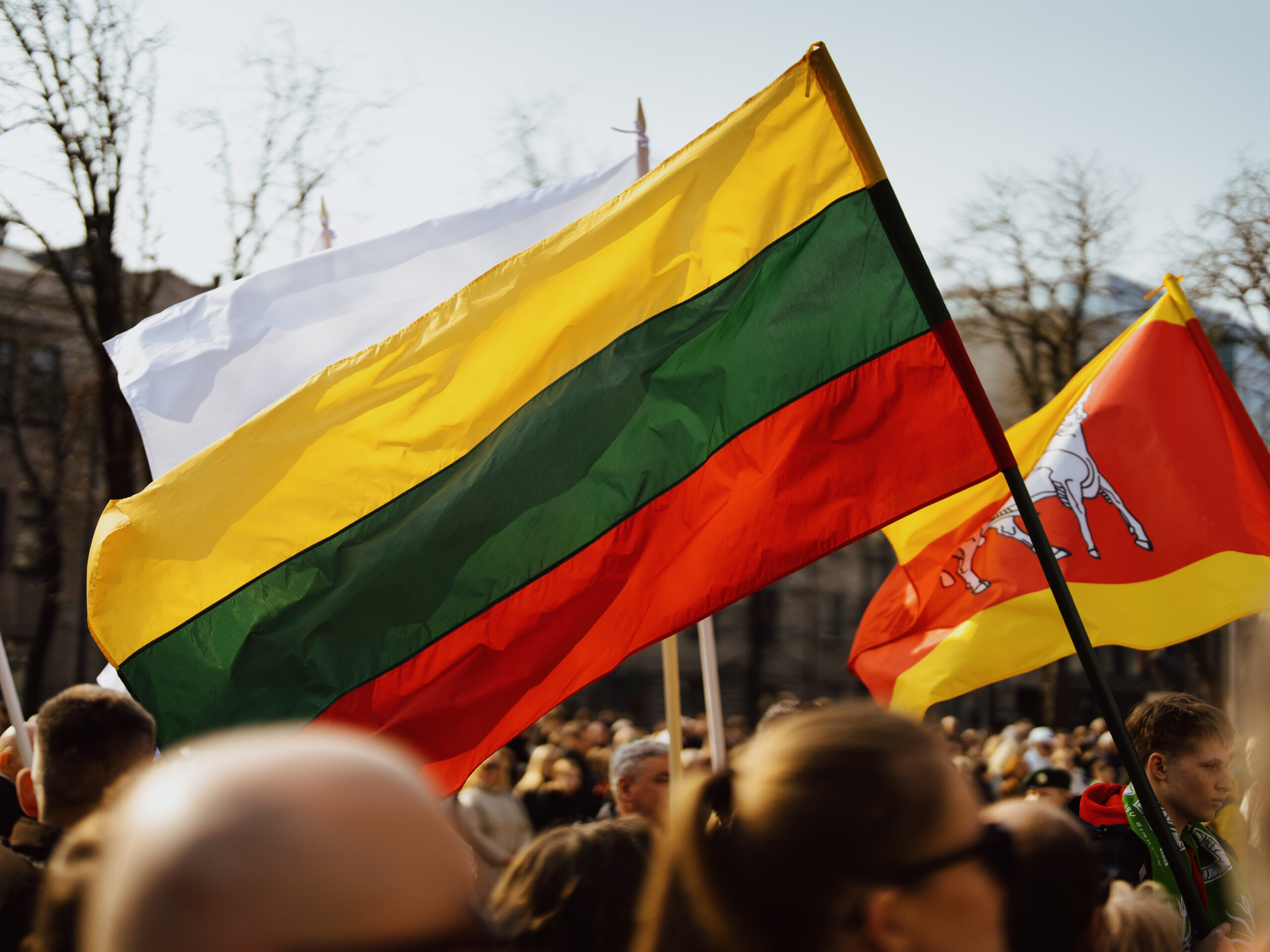 Lietuvos nepriklausomybės atkūrimo diena ©Elene ©Irmantas ©JeanDelavenay