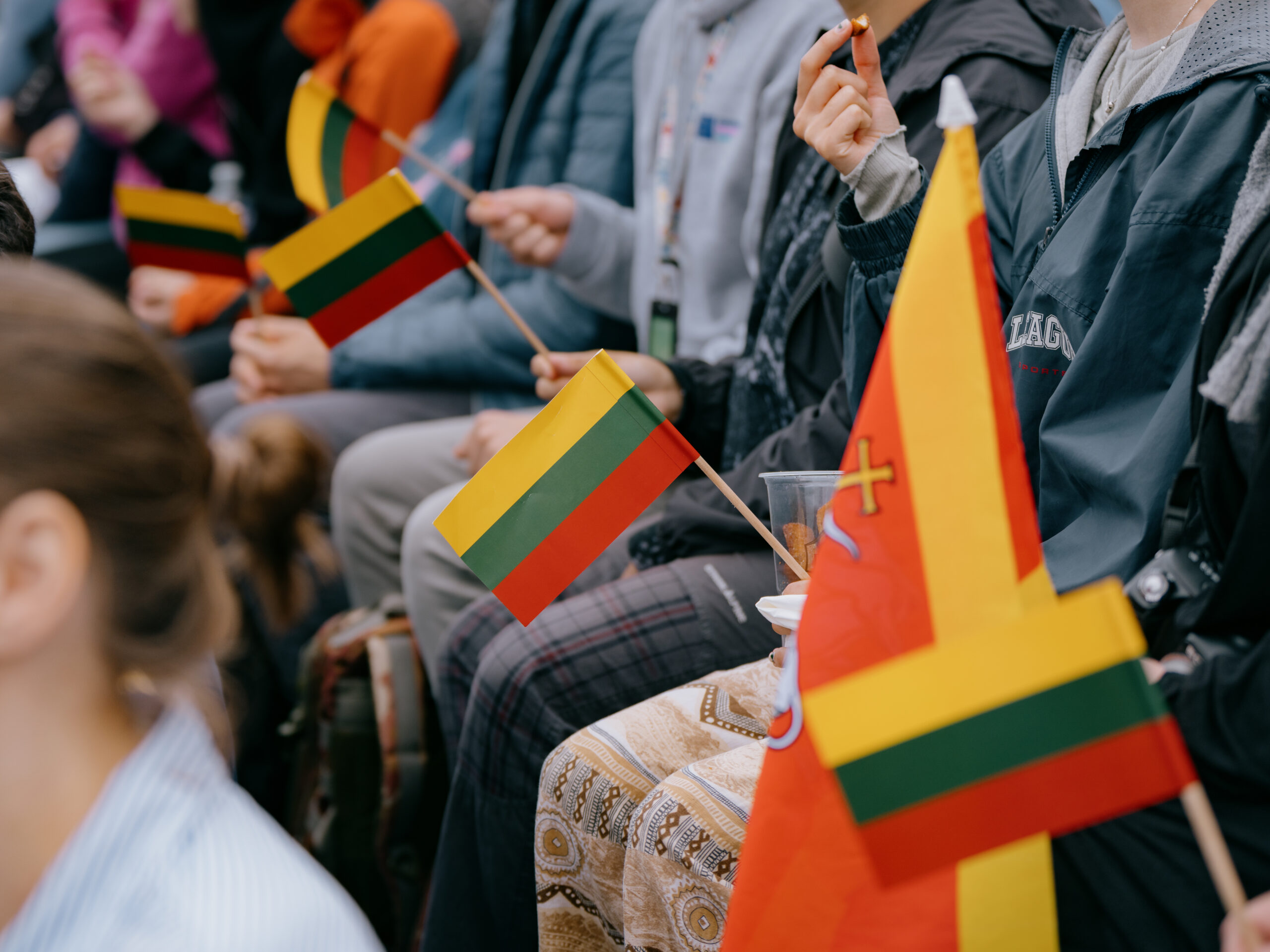 Valstybės dienos minėjimas ©Irmantas