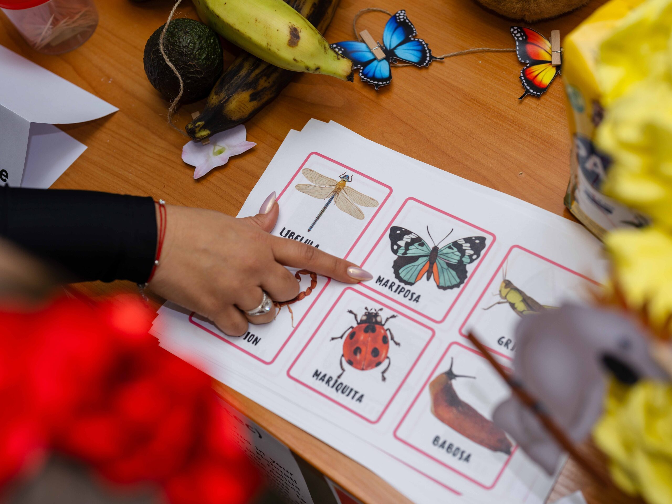 Tarptautinė gimtosios kalbos diena