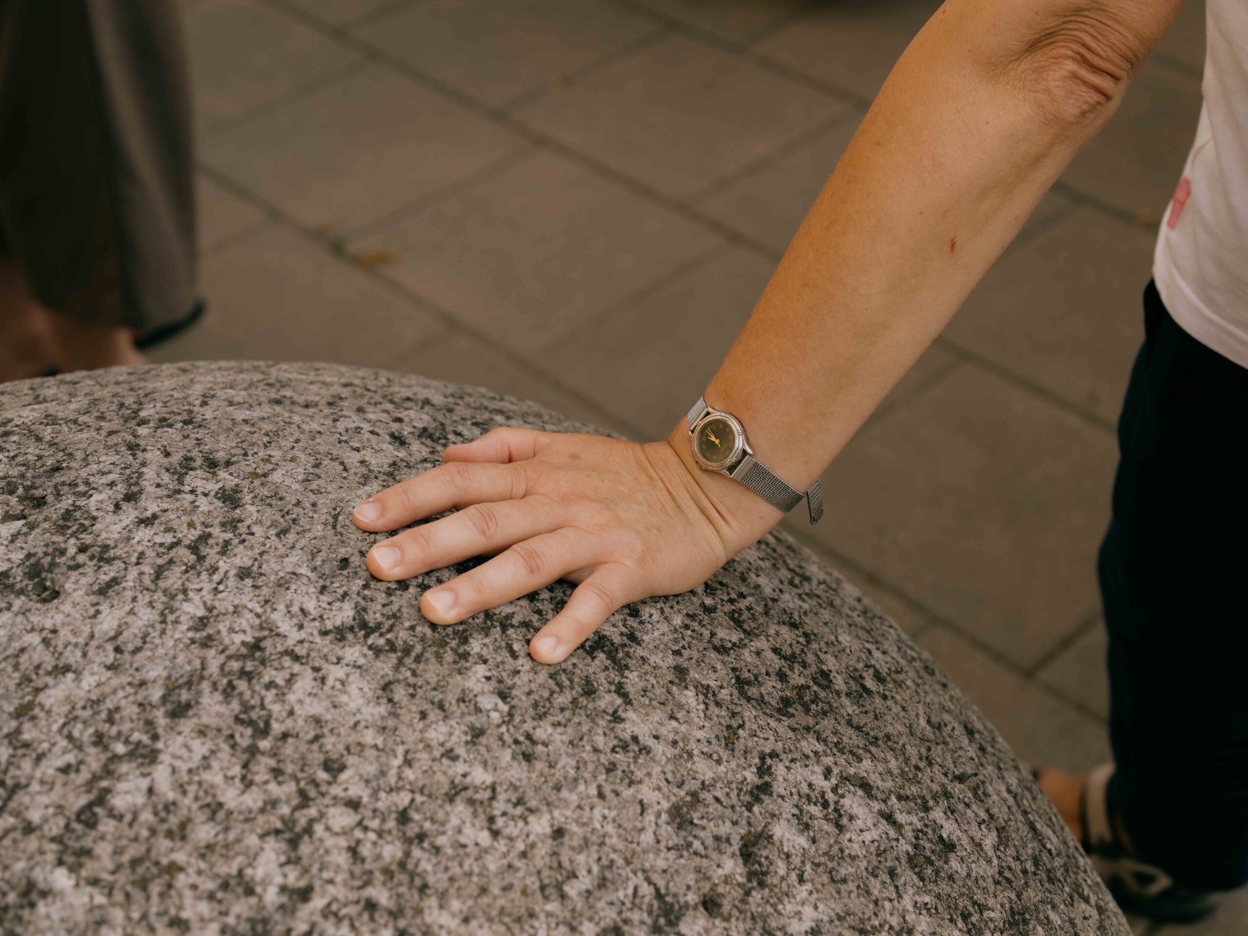 Kultūrų sodas 2025  Pažintinė ekskursija „Senovės Egiptas Kaune“