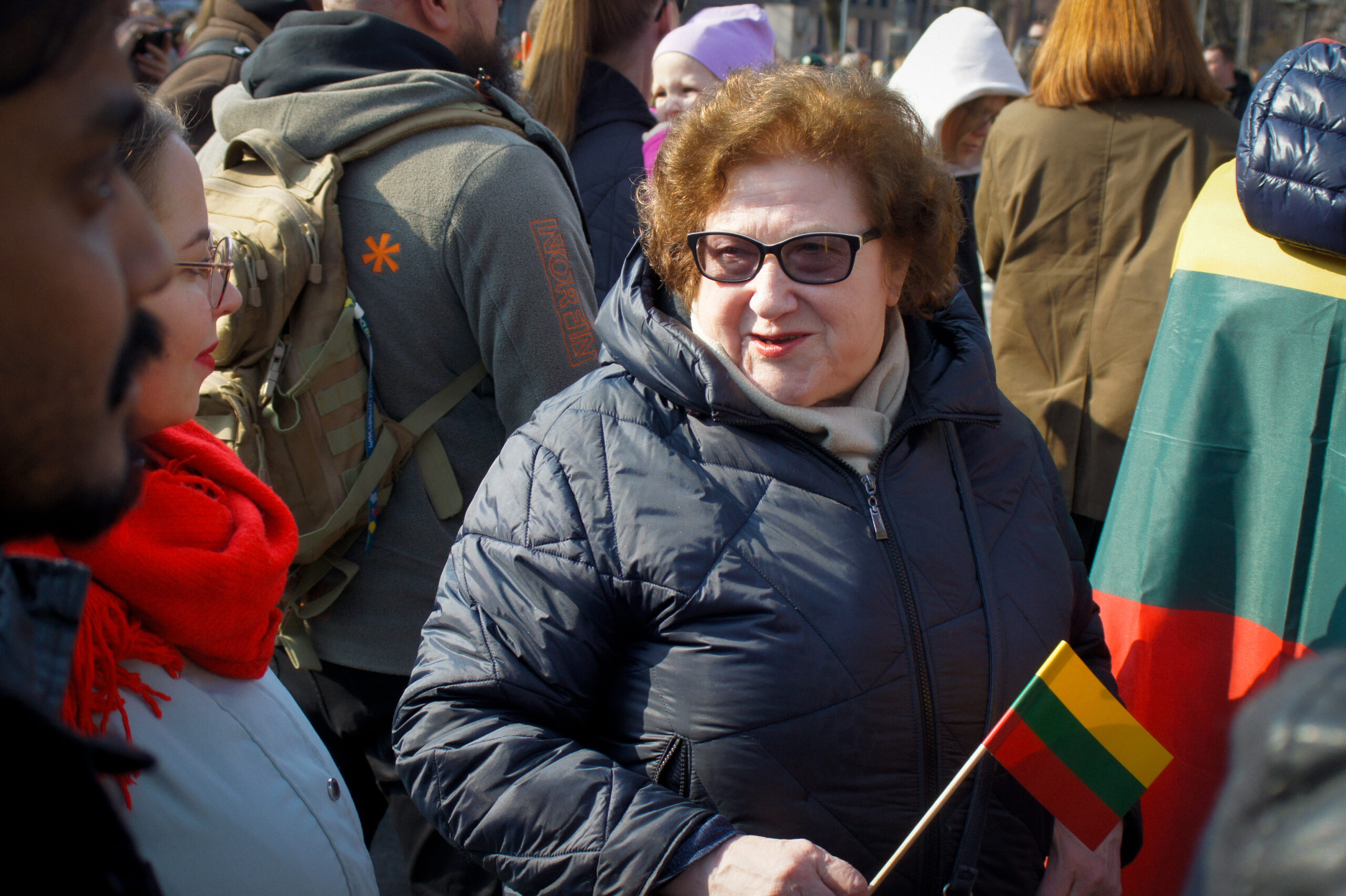 Lietuvos nepriklausomybės atkūrimo diena ©Elene ©Irmantas ©JeanDelavenay