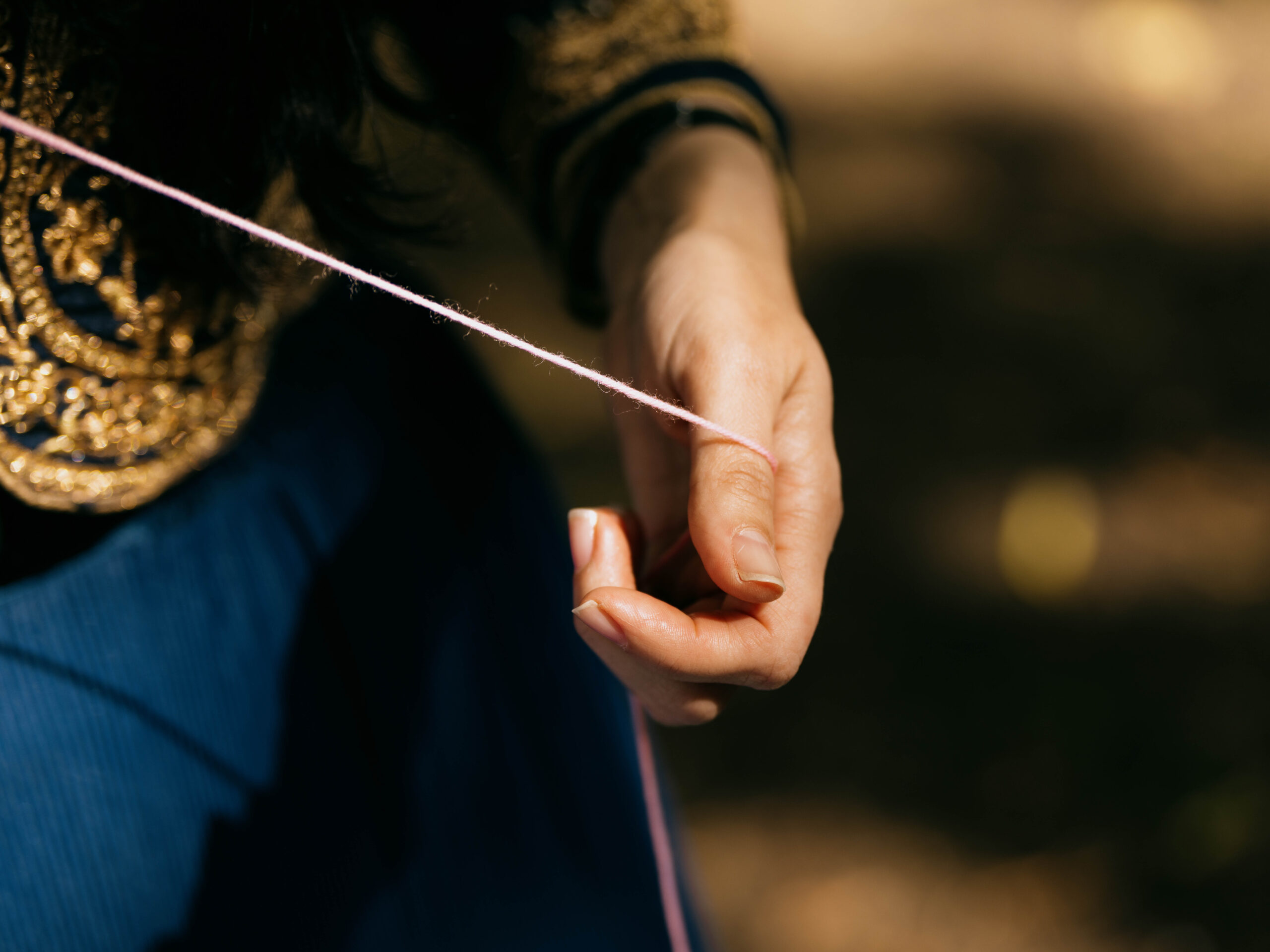 Lietuvos tautinių bendruomenių festivalis „Kultūrų sodas 2025“ ©Irmantas