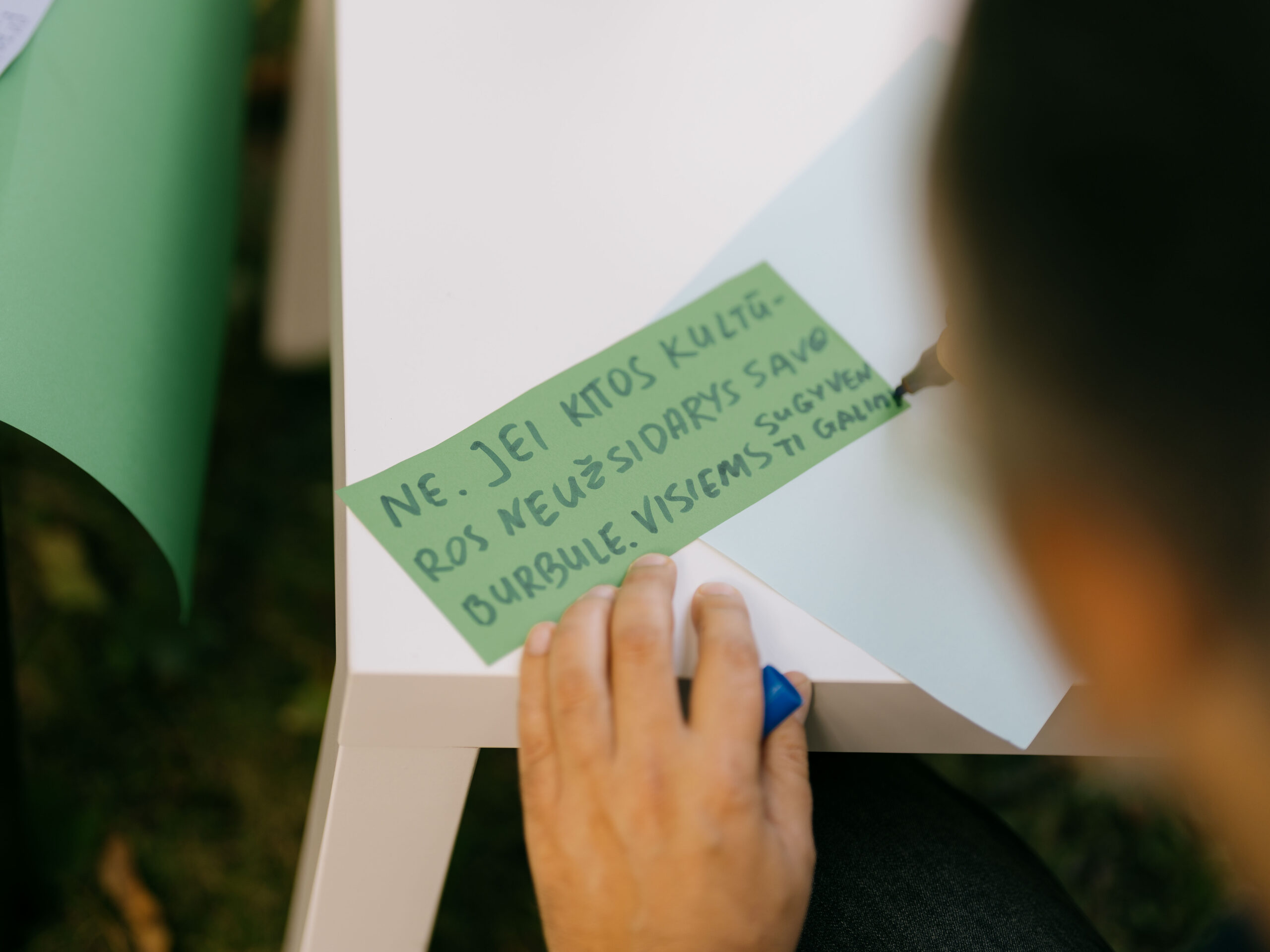 Lietuvos tautinių bendruomenių festivalis „Kultūrų sodas 2025“ ©Irmantas